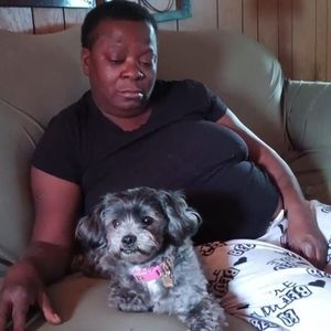 Meet your Posher, Phoebe